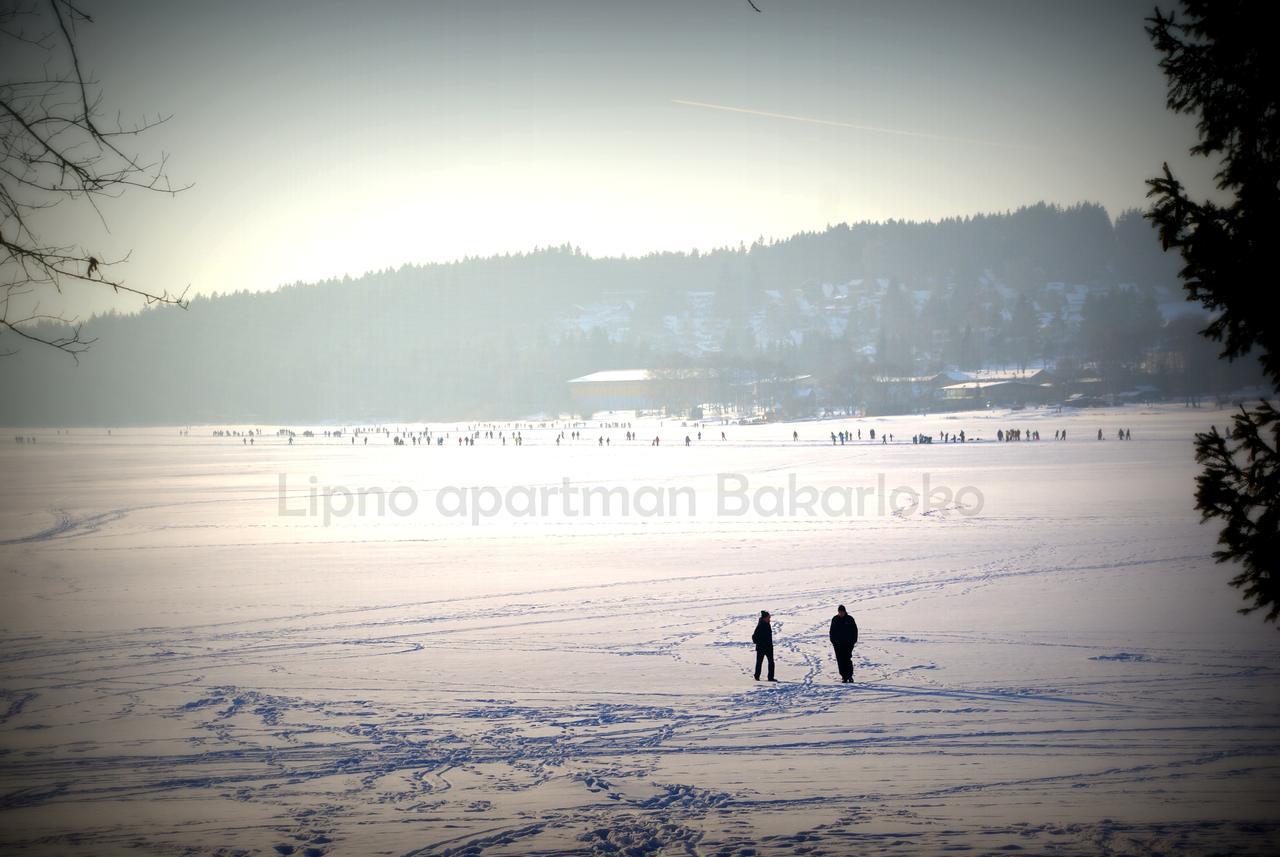 Bakarloko Lipno Apartments Ліпно-над-Влтавою Екстер'єр фото